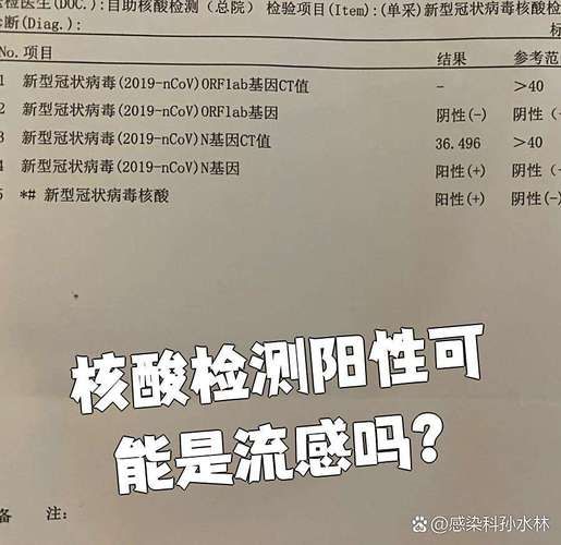 甘肃陇南文县解封区核酸阳性详情_甘肃陇南市文县