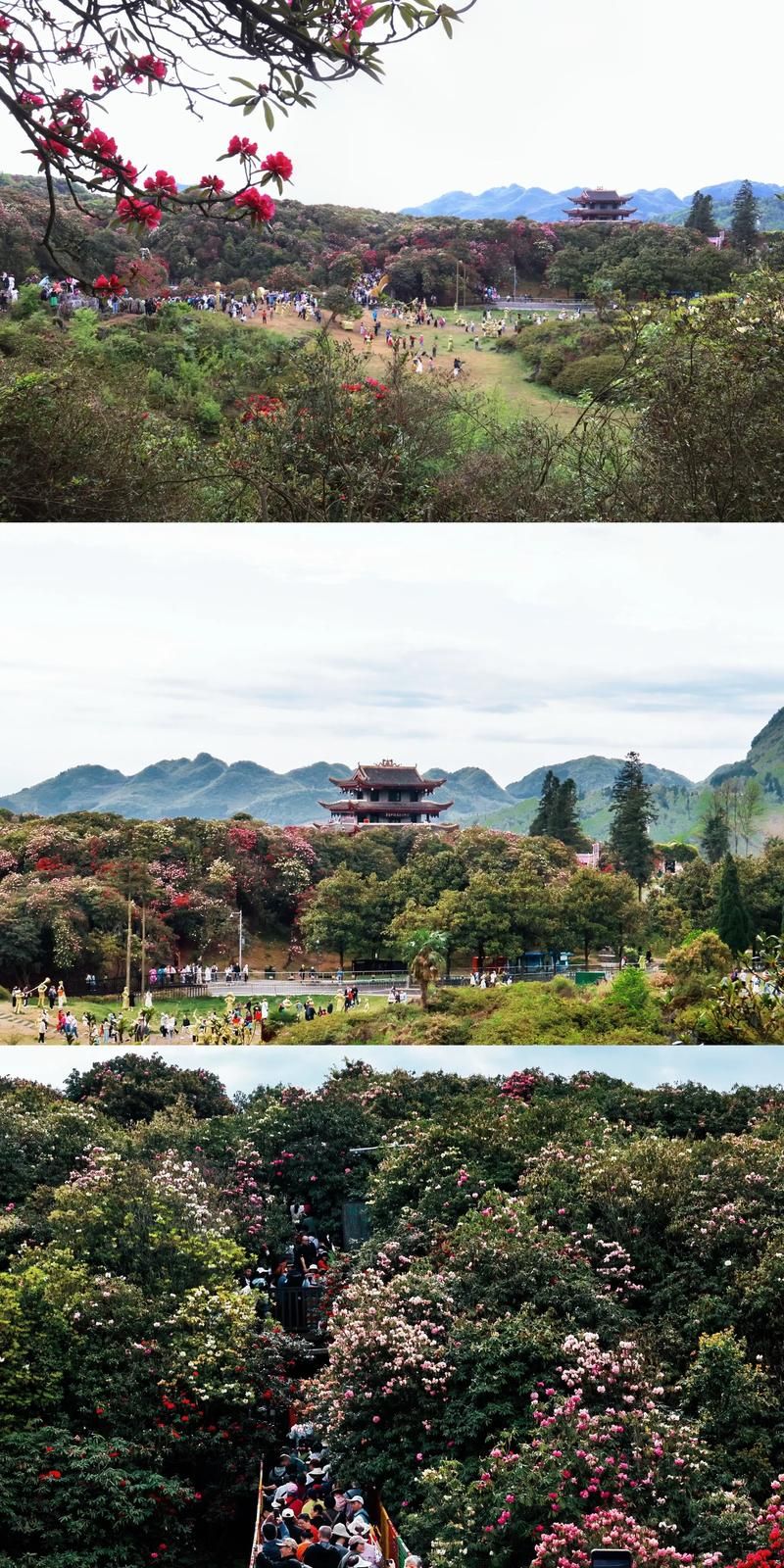 【贵州省毕节市大方县静默区本土确诊详情_毕节县大方镇】