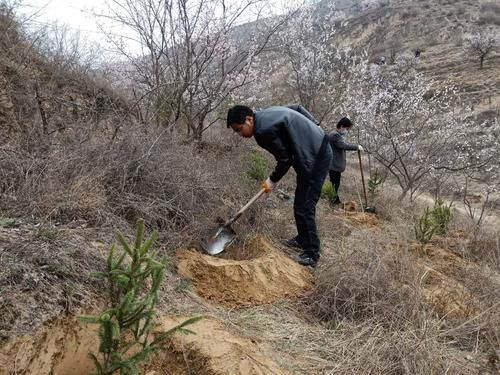 【合水县疫情封城最新消息_合水县疫情防控通告】