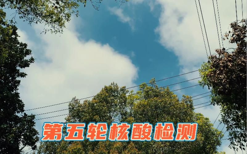 张店区今冬无新增核酸阳性/淄博张店区新冠核酸检测地方