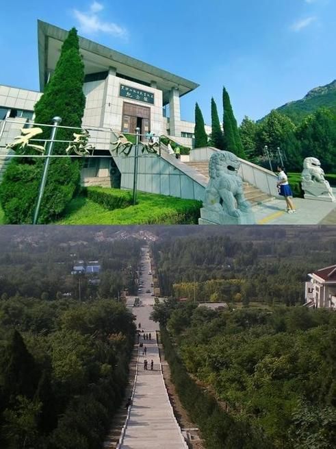 山东省淄博市张店区什么时候可以足不出户(淄博市张店区什么时候开学)