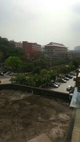 广东省珠海市金湾区境外输入已反弹17地(珠海金湾区疫情)