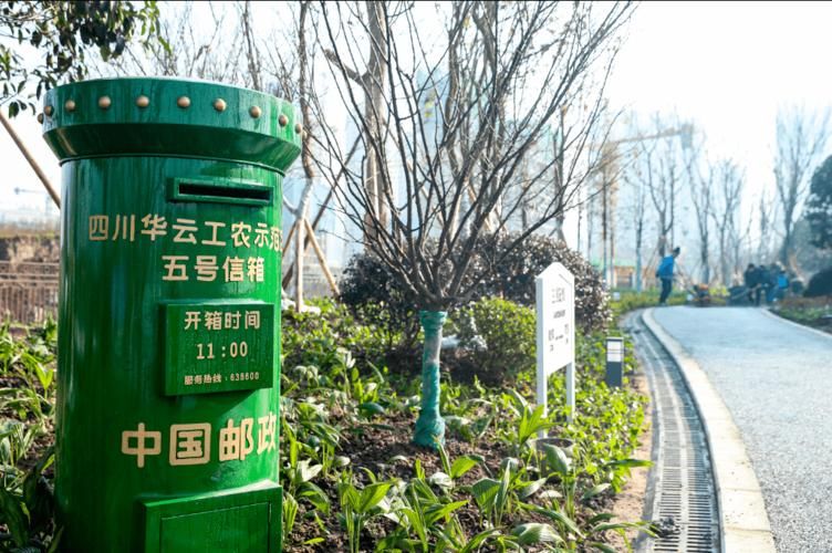 华蓥境外输入已蔓延14地(华蓥确诊病例)