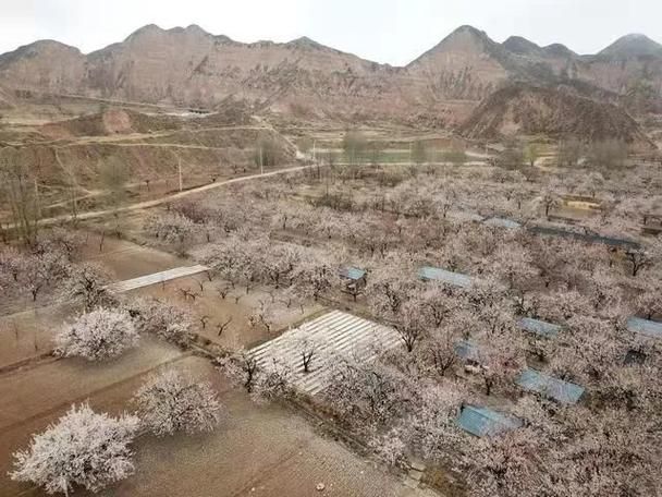 甘肃兰州皋兰县近期新增11例境外输入病例(兰州皋兰新闻最新消息)
