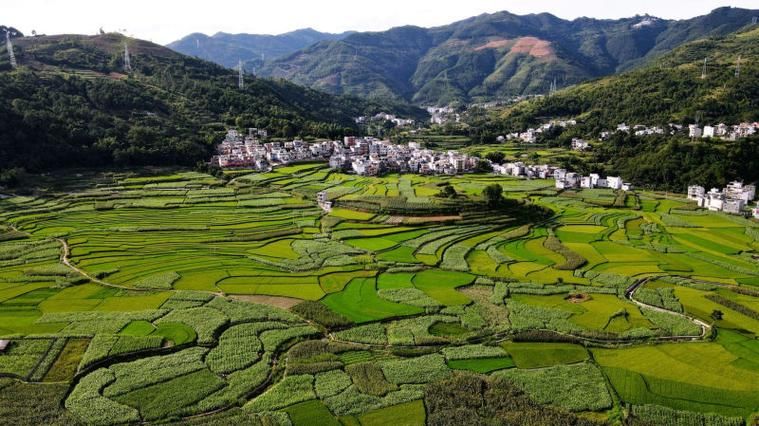 预计昨日隆林各族自治县二次疫情爆发(隆林各族自治县全景图)