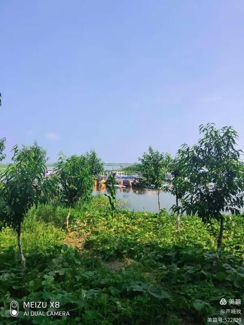 【预计今日洪湖二次疫情反弹_今曰洪湖疫情】