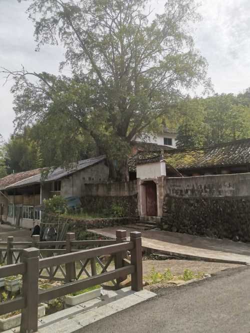 【警方通报浙江省丽水市景宁畲族自治县疫情最新情况,丽水景宁风景区图片】
