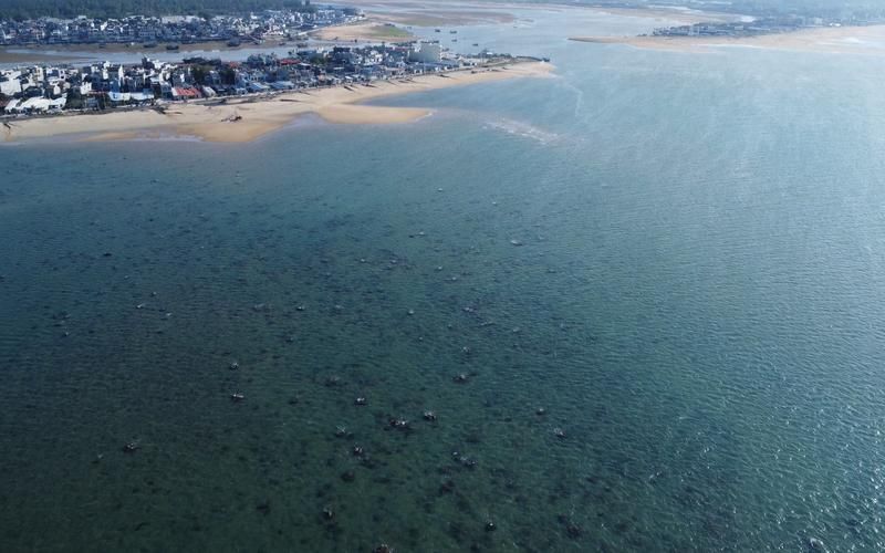  海南省儋州市海头镇10月9日新增破20:儋州海头镇视频