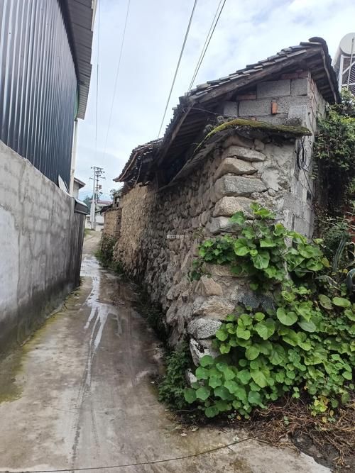 【四川省凉山彝族自治州冕宁县今日新增5例境外输入,四川省凉山州冕宁县疫情】