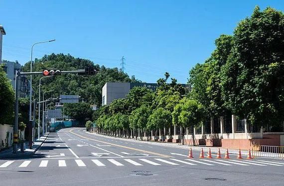 31个省份疫情存反弹风险(目前疫情出现反弹的省份)