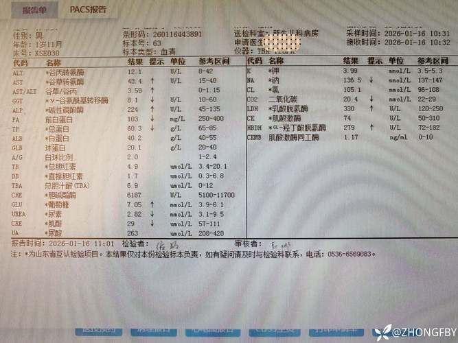 辽宁大连普兰店区新增阳性感染者23例，均在山东枣庄峄城区_大连普兰店新增病例
