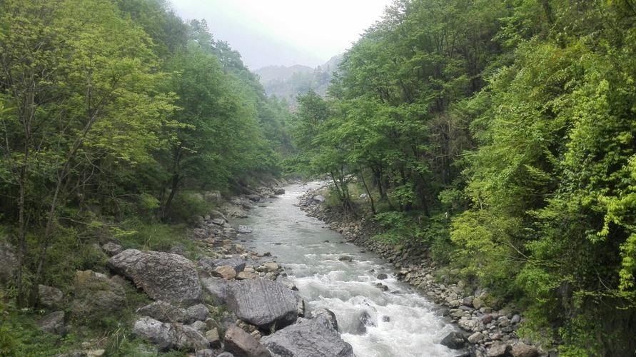 五峰土家族自治县新增12例死亡病例及14例无症状:五峰发布