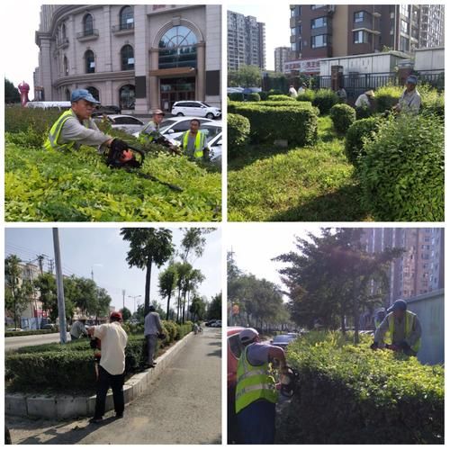  顺城区最新通告：所有人员足不出户:顺城区百科
