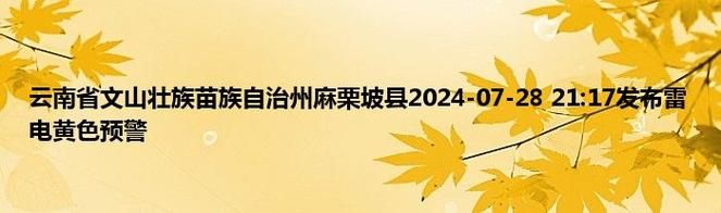 31省新增本土确诊27例均在云南省文山壮族苗族自治州麻栗坡县/云南文山麻栗坡疫情