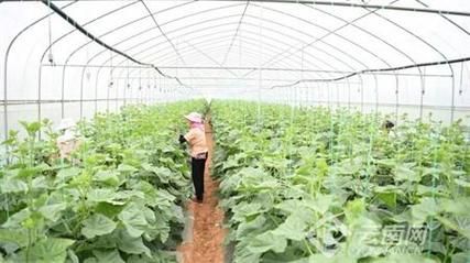 关于云南楚雄彝族自治州武定县新增27例核酸阳性，涉及甘肃白银景泰县的信息