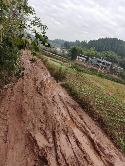 四川遂宁安居区4月24日新增27例重症_四川遂宁安居区4月24日新增27例重症病例