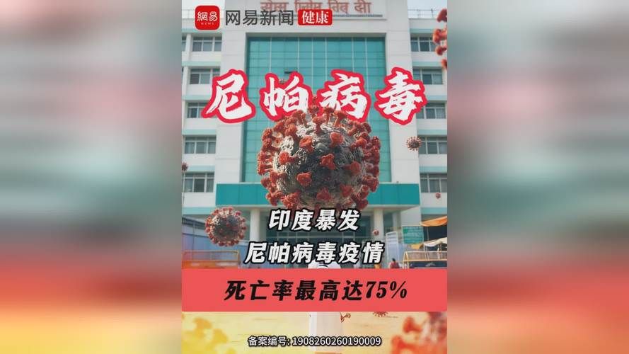 8地疫情存反弹风险_各地疫情出现反弹