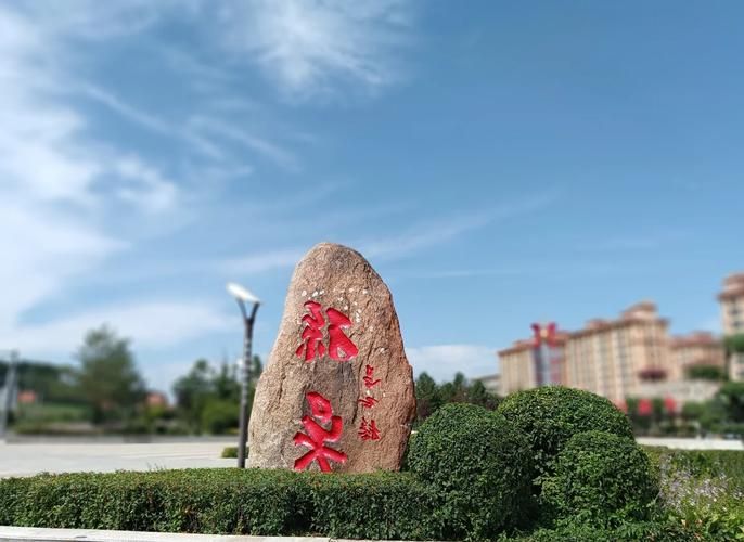 一张图看懂黑龙江黑河孙吴县昨日病例通报(黑龙江孙吴县疫情最新情况)