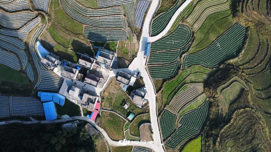广西壮族自治区百色乐业县近5天无新增阳性感染者/百色乐业高速最新动态