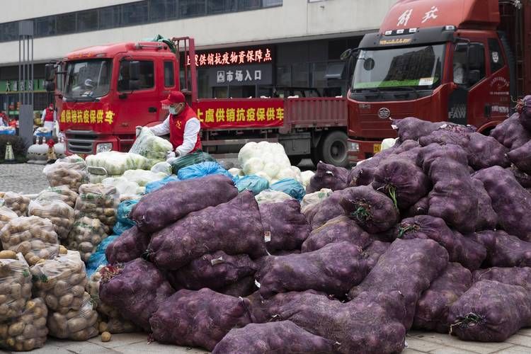 景宁畲族自治县累计报告无症状感染者1例_景宁畲族自治县新闻