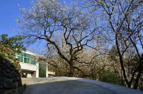 专家:茅箭区每年或现多个感染高峰/茅箭区包含哪些地方