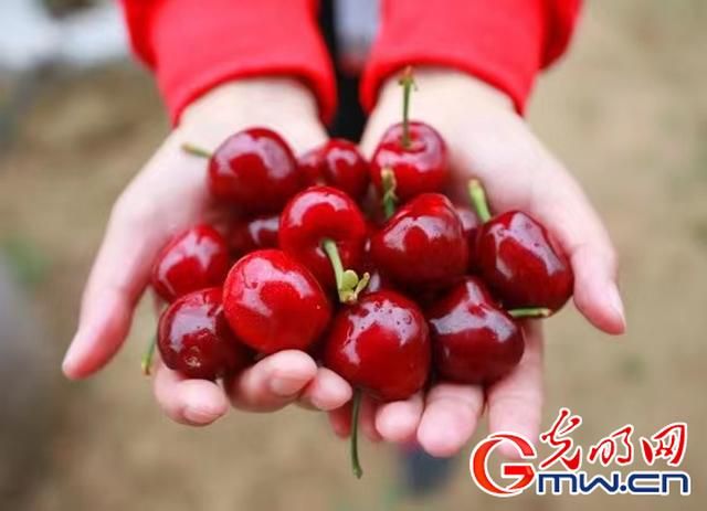 发现1名密接者!子长市/子长疫情最新政策