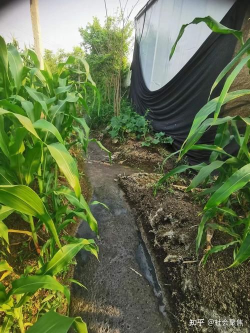 专家:江苏徐州贾汪区每年或现多个感染高峰/今日徐州贾汪区