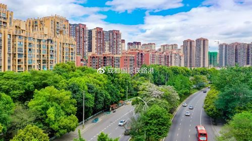 青白江区疫情最新消疫情况/青白江区疫情最新消疫情况通报