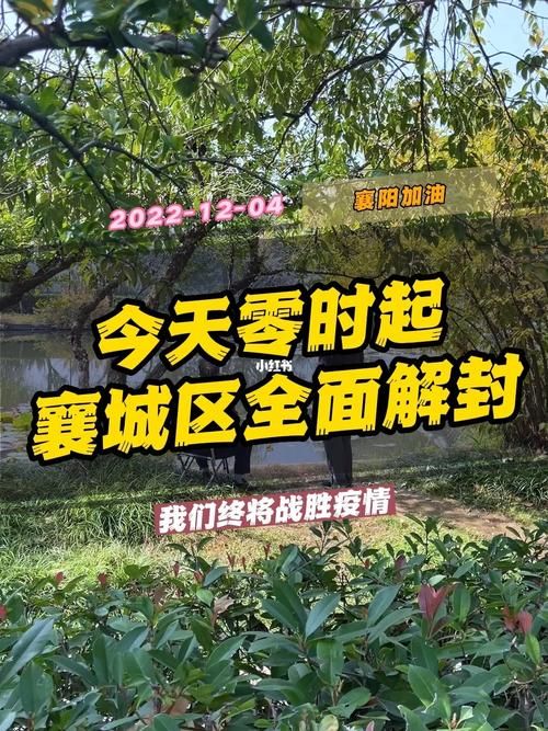 湖北襄阳解封区重症详情_襄阳什么时候解封城