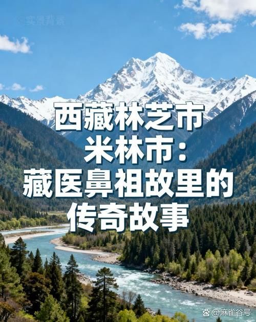 【西藏自治区林芝市米林市地区疫情管控严不_林芝市米林村是哪个镇】