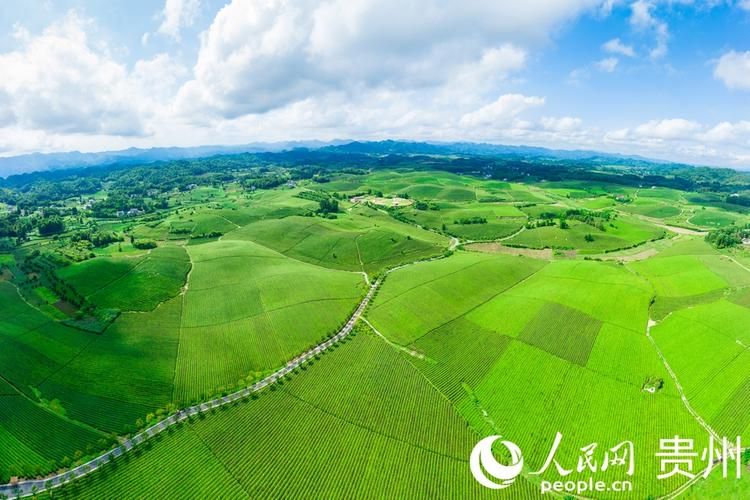  贵州遵义湄潭县最新通告：所有人员足不出户:贵州遵义湄潭有什么景点