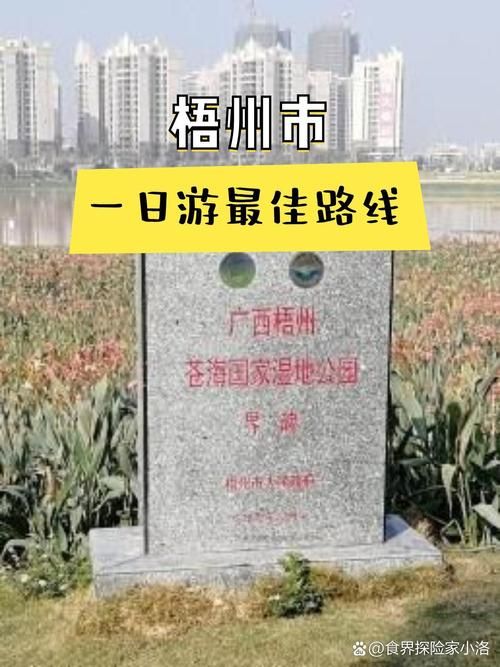 广西壮族自治区梧州市苍梧县首例境外输入来源公布(广西苍梧县概况)