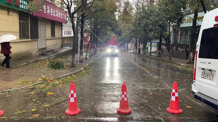 舞钢疫情最新实数据/舞钢最新天气怎么样