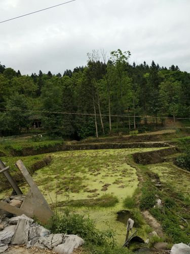 贵州省铜仁市沿河土家族自治县今冬最新消息疫情_贵州铜仁沿河电话区号