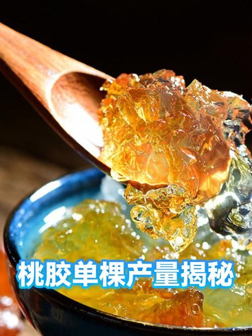 【最新疫情临床宁南县_一亩桃树能产多少桃胶】