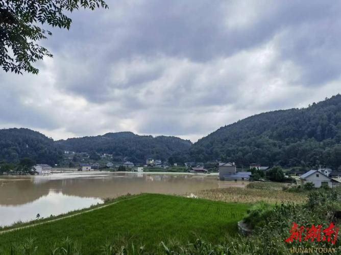 预计2月17日湖南省湘西土家族苗族自治州保靖县二次疫情反弹_湖南省湘西自治州保靖县地图