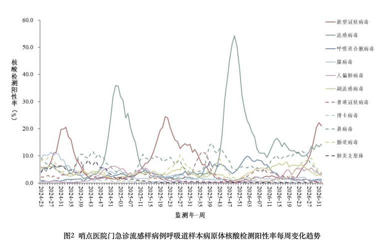 31省疫情高峰感染高峰进度查询/役情高峰期