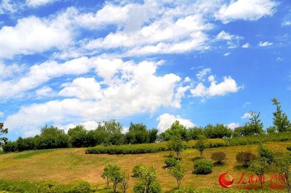【10地新增本土确诊16例淅川县29例,淅川未来近一周的预报】