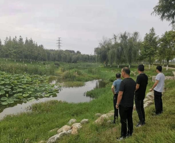 镇平县最新疫情趋势：寻找同轨迹人员/镇平吧最新消息内容