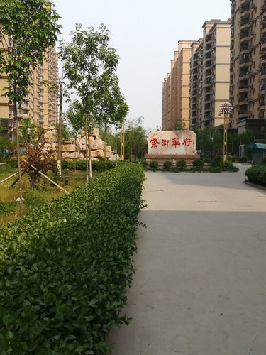 【河北沧州东光县中高风险地区疫情,沧州市东光县最新规划图】