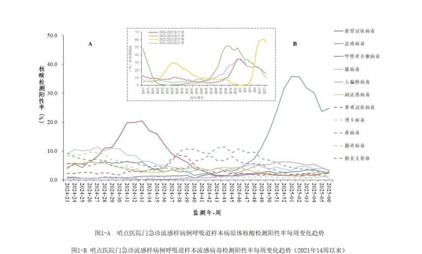 【泾县近期无症状感染者曲线图表_泾县疾病预防控制中心】