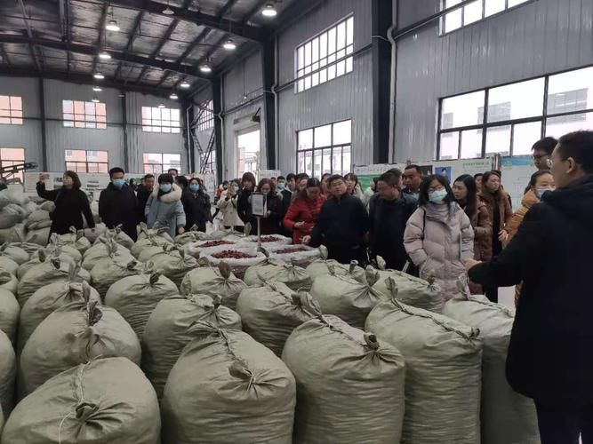  专家:西秀区每年或现多个感染高峰:西秀区最近会有雾霾吗
