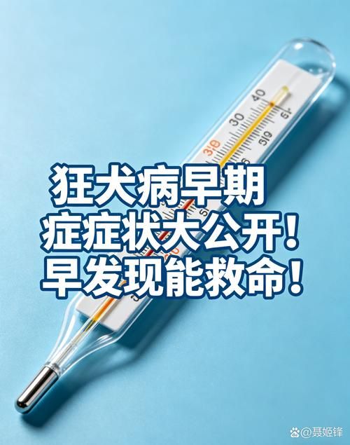 黑龙江鹤岗向阳区现有无症状感染者16例(黑龙江鹤岗狂犬病有几例)
