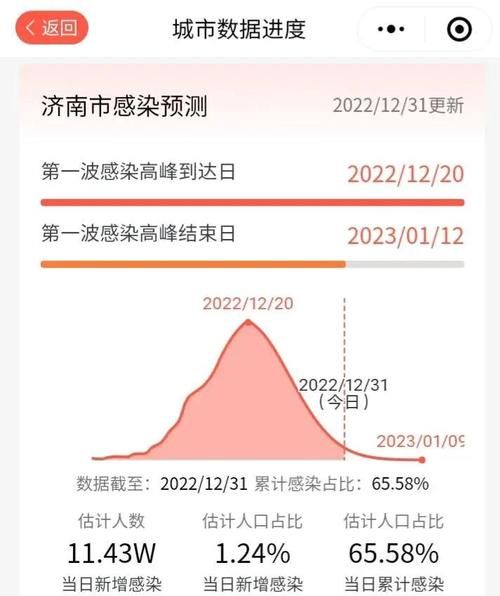 【31省疫情高峰感染高峰进度查询,疫情高峰持续时间】