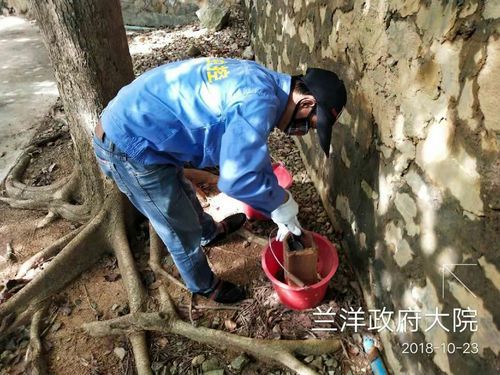 兰洋镇疫情解封最新消息(兰洋镇政府现任领导)