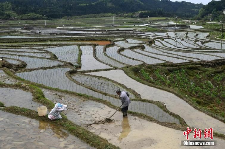 【解读罗城仫佬族自治县疫情最新消息_罗城仫佬族自治县2025年GDP】