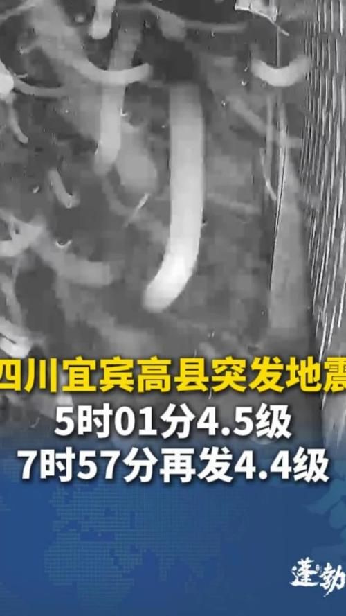 四川省宜宾市高县现有境外输入14例(四川宜宾高县连续地震引发关注)