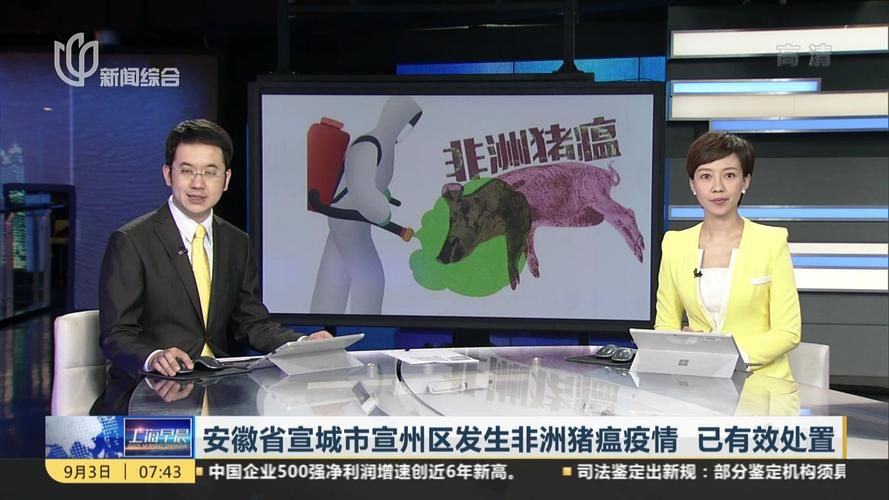 解读疫情最新消息宣城/宣城近期抓人最新消息