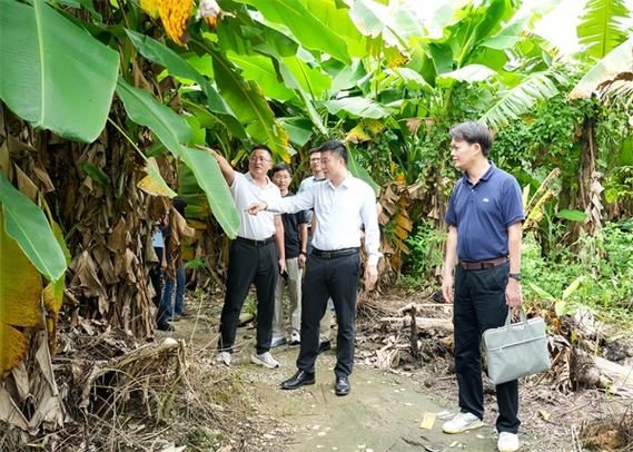 【麻涌镇地区疫情管控严不_麻涌镇政府人员一览表】