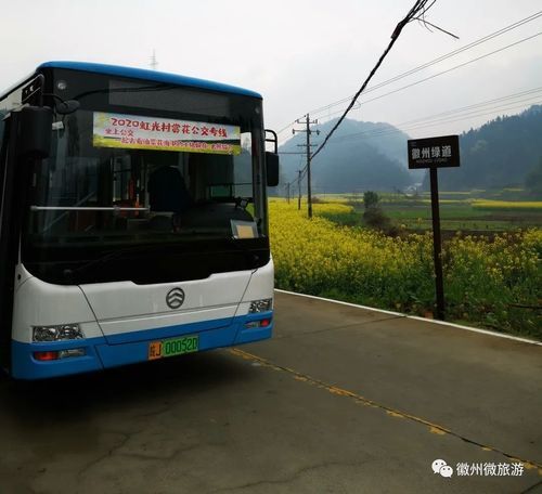 徽州区今冬新增阳性感染者7例/徽州区疾控中心电话